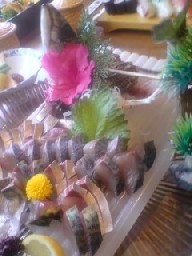 080503_1335~02.jpg