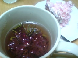 080511_2210~01.jpg