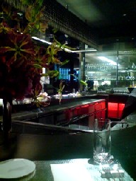 080530_1101~01.jpg
