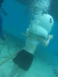 seawalker2.jpg