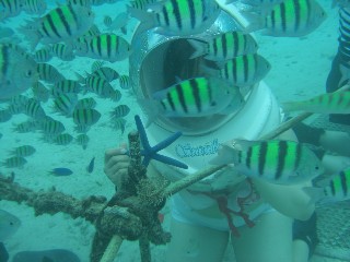 seawalker5.jpg
